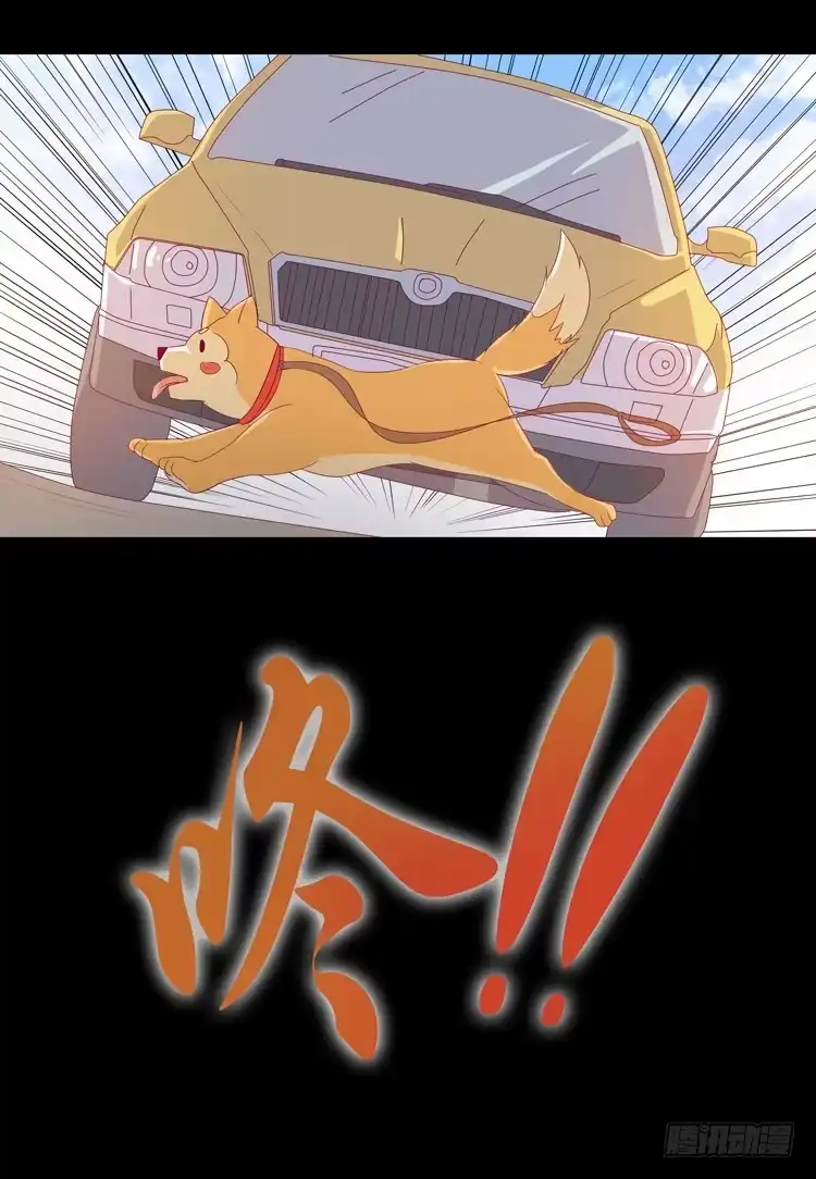 《我与秋田》打回原形 第23页