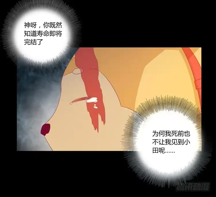 《我与秋田》打回原形 第27页