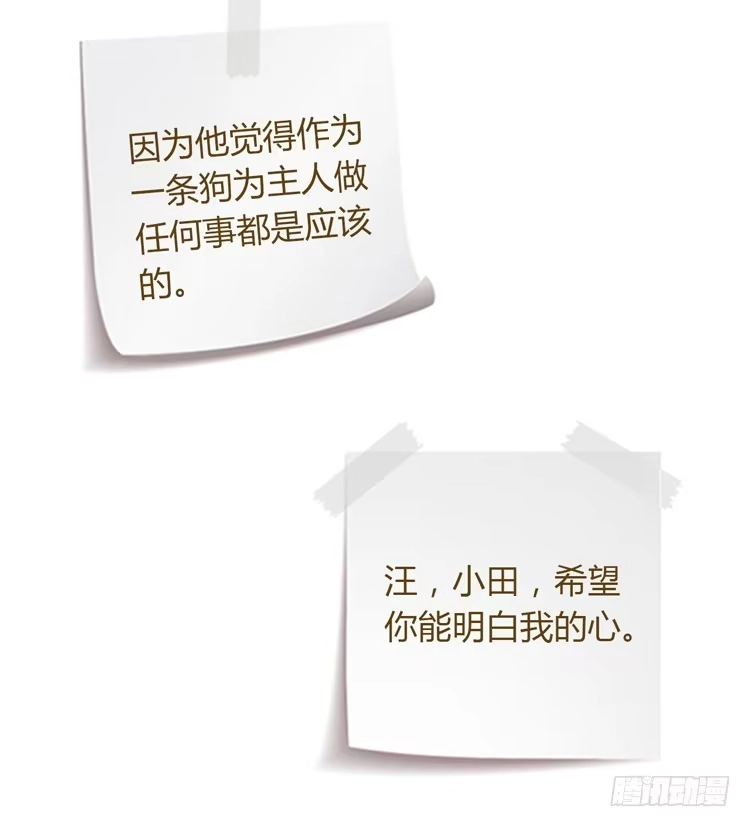 《我与秋田》一条狗的使命 第52页