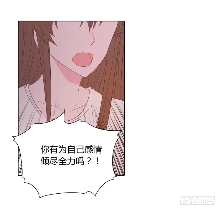 《我与秋田》紫色雏菊的花语 第12页