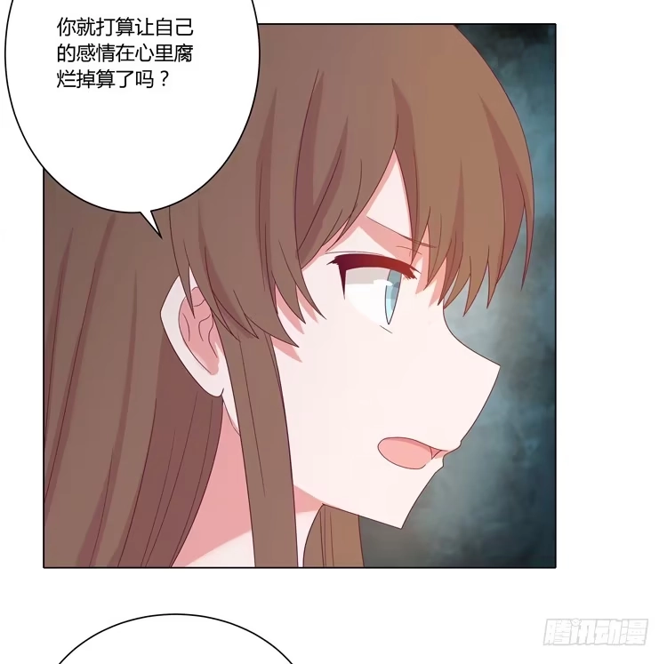 《我与秋田》紫色雏菊的花语 第9页