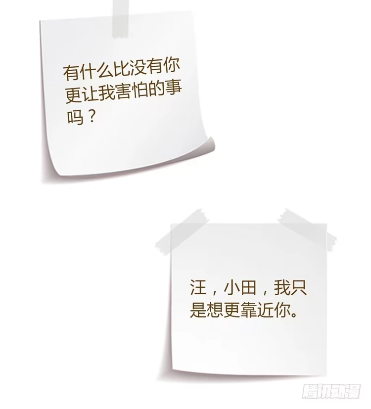 《我与秋田》紫色雏菊的花语 第50页