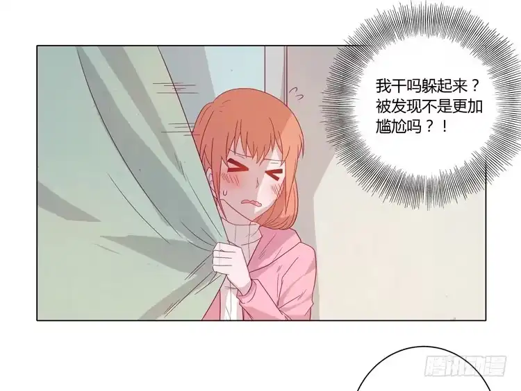 《我与秋田》紫色雏菊的花语 第32页