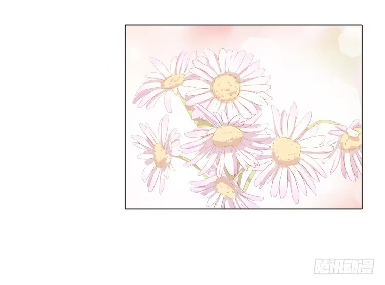 《我与秋田》紫色雏菊的花语 第23页