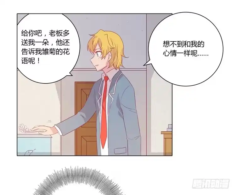 《我与秋田》紫色雏菊的花语 第39页