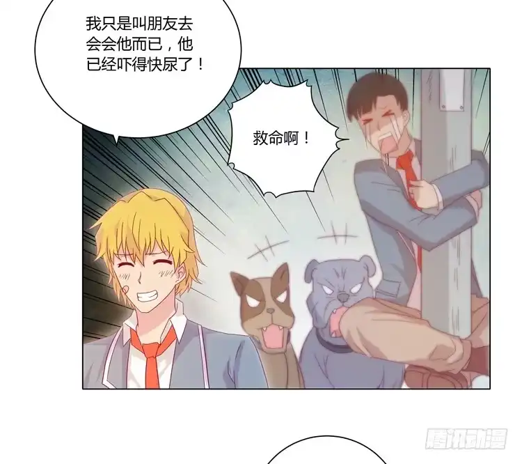 《我与秋田》紫色雏菊的花语 第35页