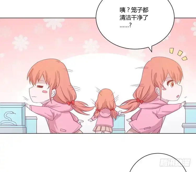 《我与秋田》紫色雏菊的花语 第27页