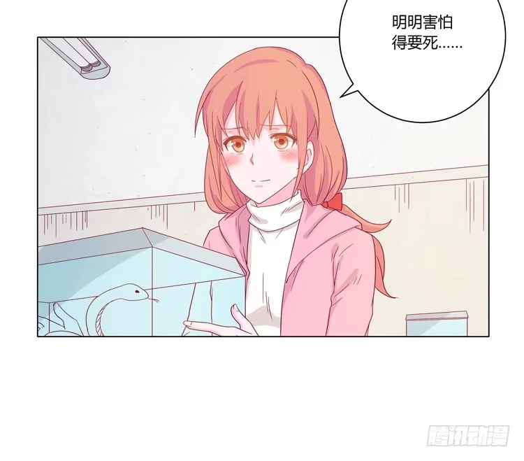 《我与秋田》紫色雏菊的花语 第28页