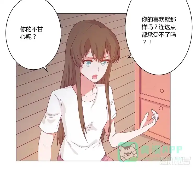 《我与秋田》紫色雏菊的花语 第11页