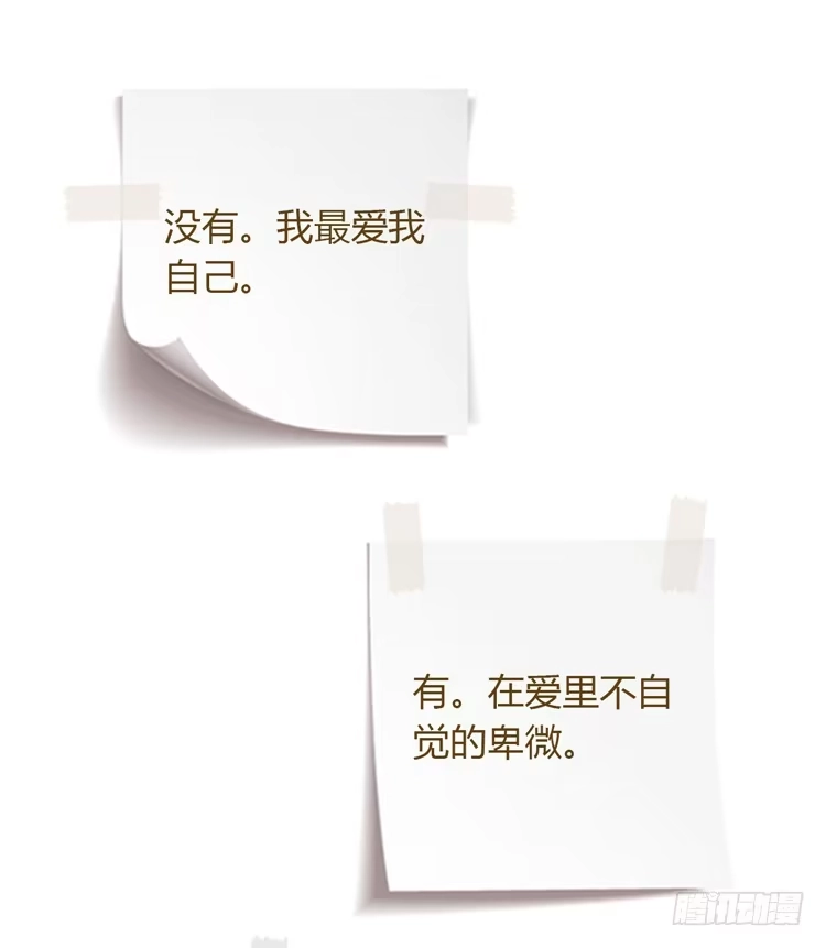 《我与秋田》紫色雏菊的花语 第49页