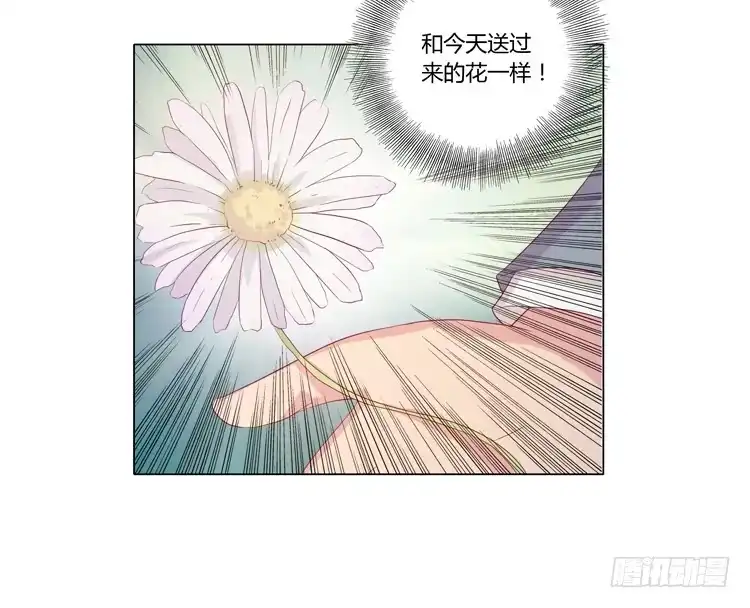 《我与秋田》紫色雏菊的花语 第38页
