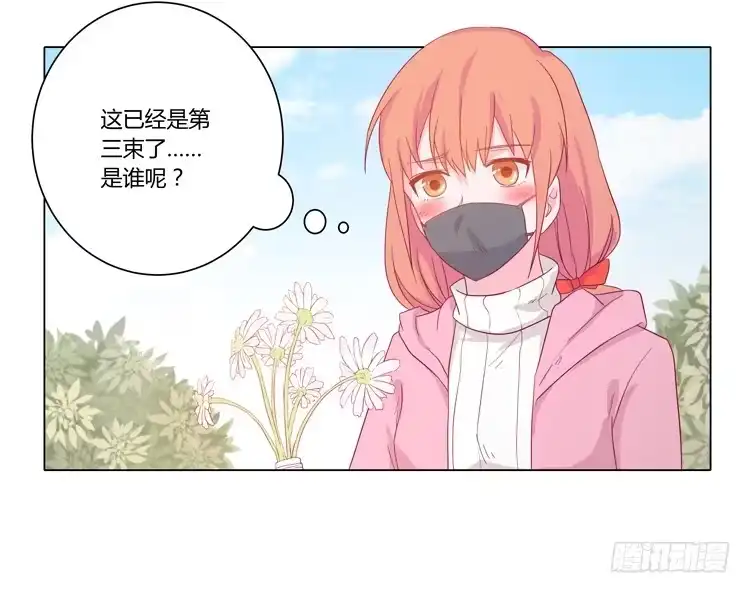 《我与秋田》紫色雏菊的花语 第24页