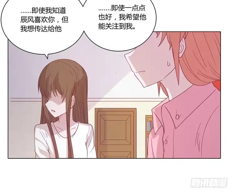 《我与秋田》紫色雏菊的花语 第14页