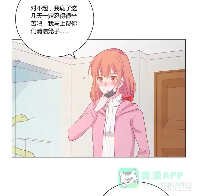 《我与秋田》紫色雏菊的花语 第26页
