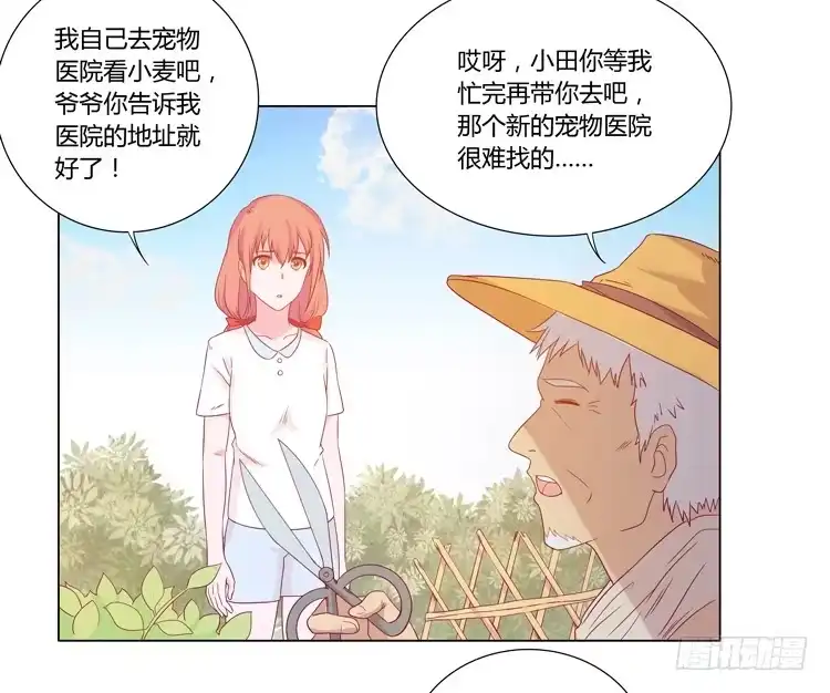 《我与秋田》爷爷，我要见小麦！ 第58页