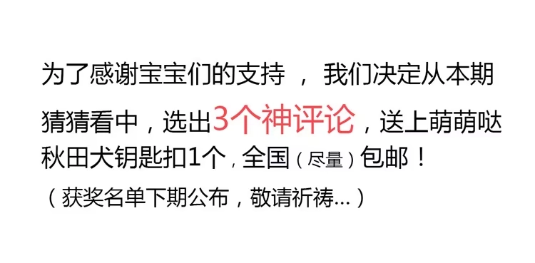 《我与秋田》爷爷，我要见小麦！ 第64页