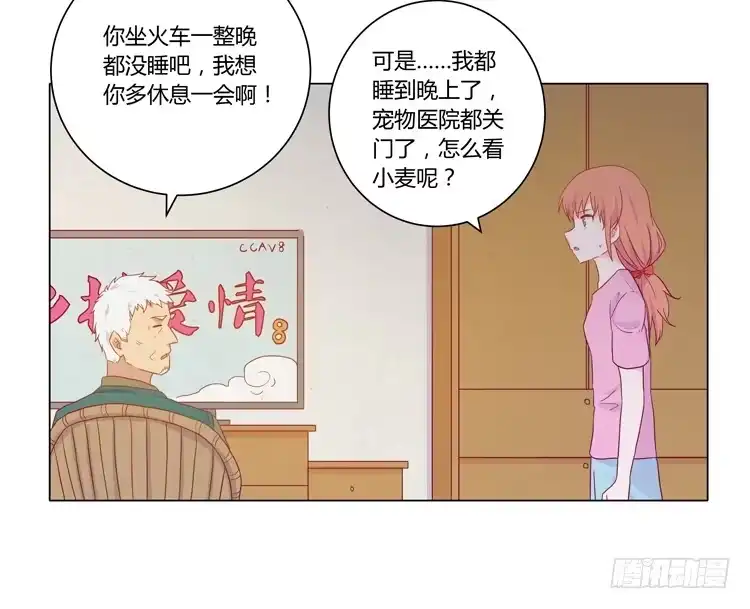 《我与秋田》爷爷，我要见小麦！ 第35页
