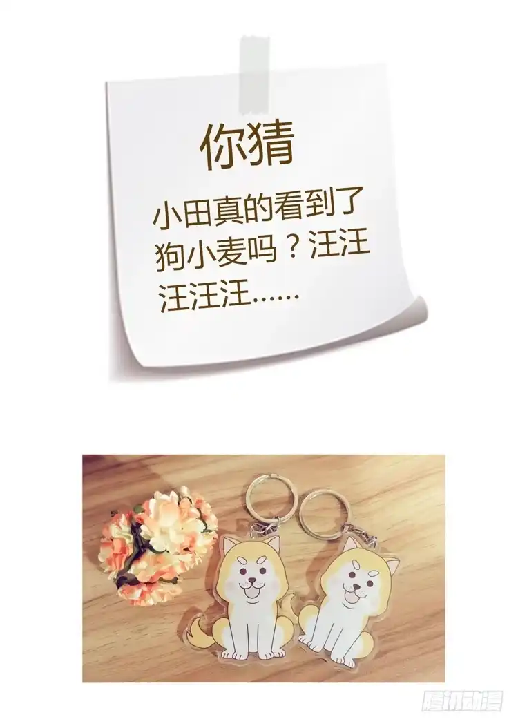 《我与秋田》爷爷，我要见小麦！ 第65页