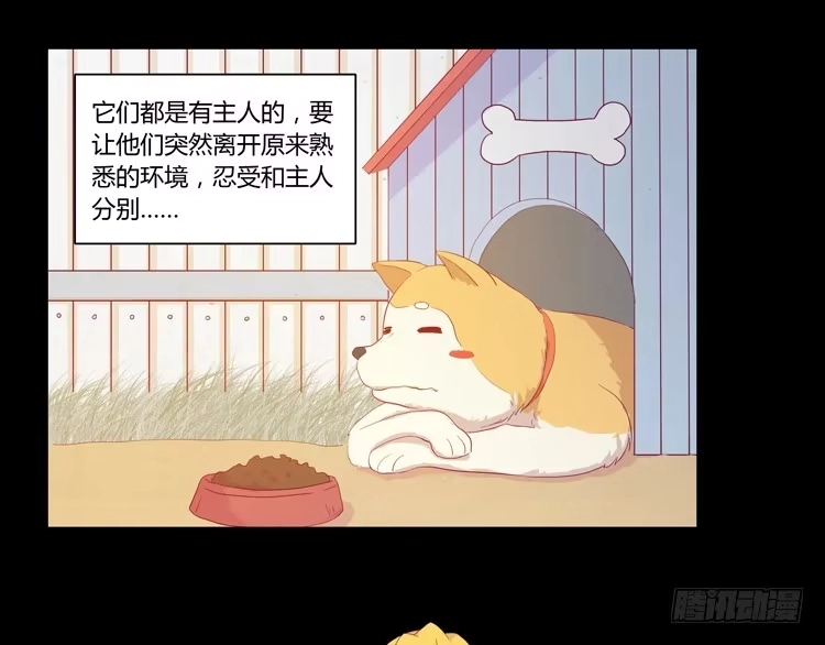 《我与秋田》我要带小麦回城里！ 第18页
