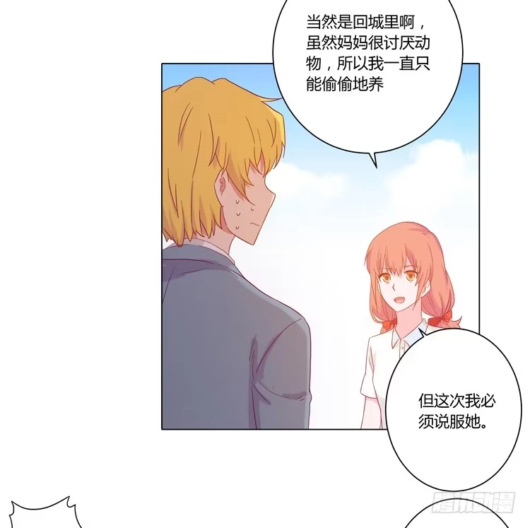 《我与秋田》我要带小麦回城里！ 第43页