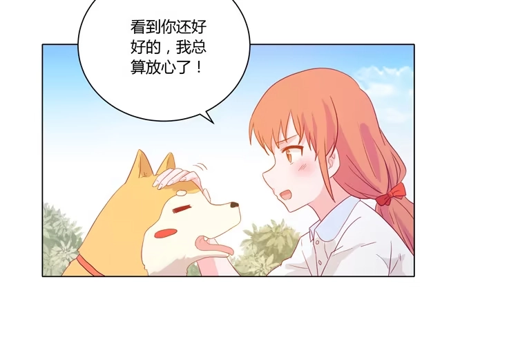 《我与秋田》我要带小麦回城里！ 第5页