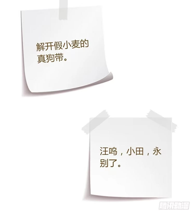 《我与秋田》我要带小麦回城里！ 第59页