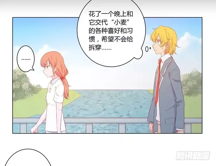 《我与秋田》我要带小麦回城里！ 第28页