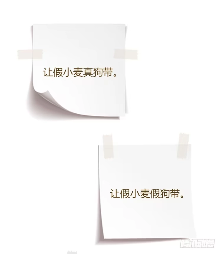 《我与秋田》我要带小麦回城里！ 第58页