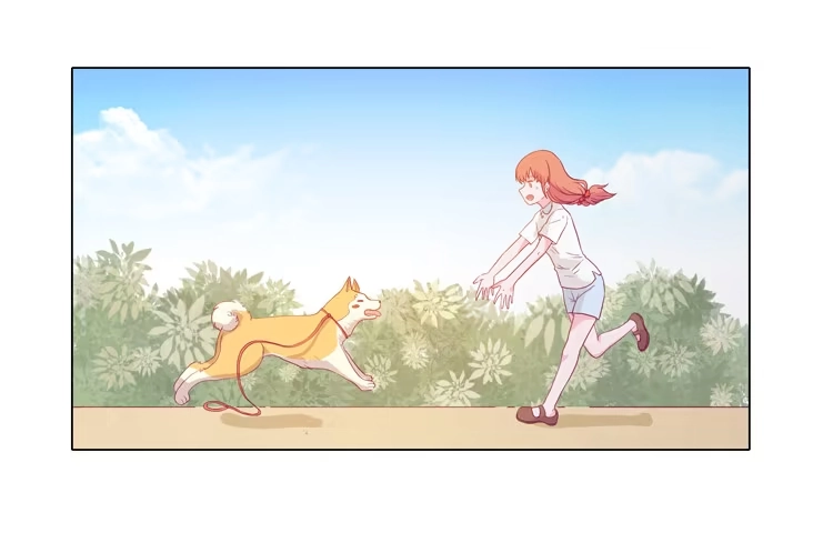 《我与秋田》我要带小麦回城里！ 第2页