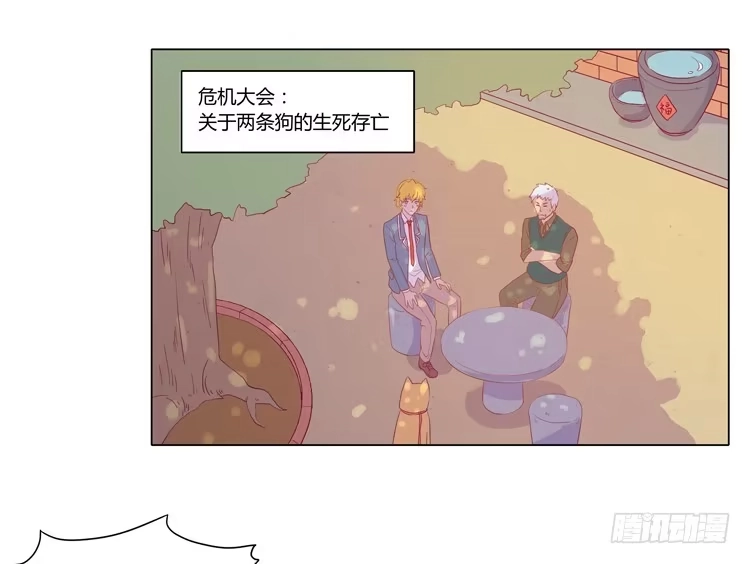 《我与秋田》我要带小麦回城里！ 第47页