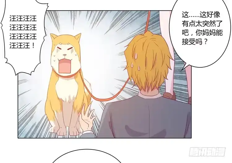 《我与秋田》我要带小麦回城里！ 第44页