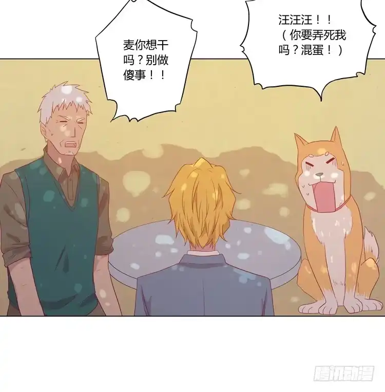 《我与秋田》我要带小麦回城里！ 第53页