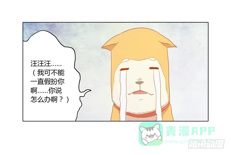 《我与秋田》我要带小麦回城里！ 第51页