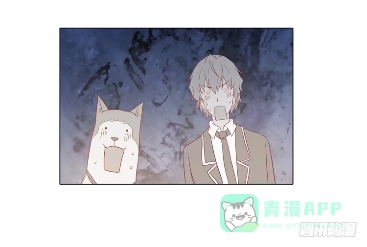 《我与秋田》我要带小麦回城里！ 第41页