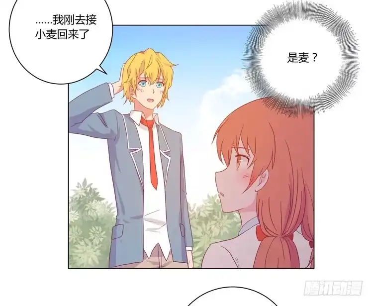 《我与秋田》我要带小麦回城里！ 第8页