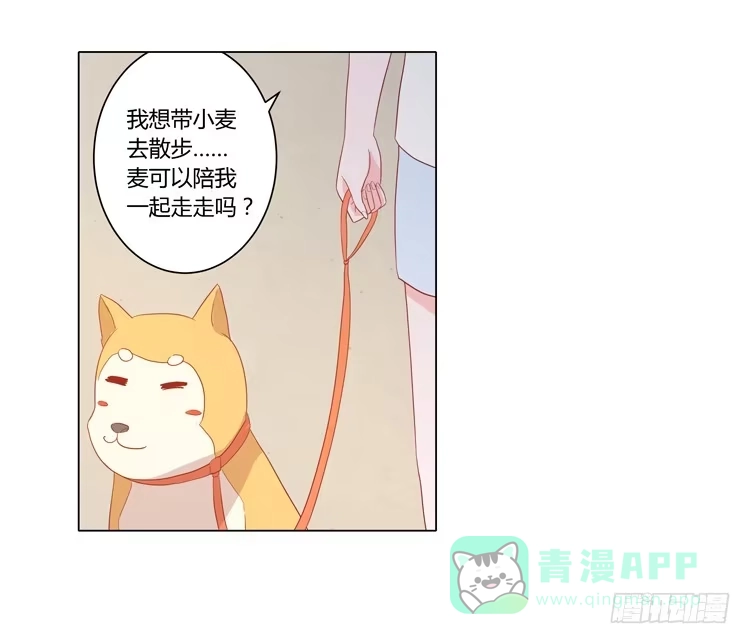 《我与秋田》我要带小麦回城里！ 第11页