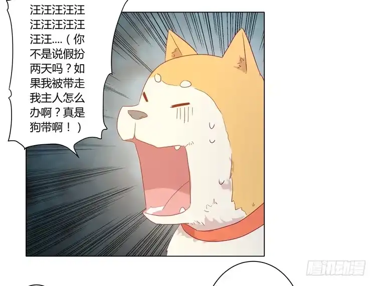 《我与秋田》我要带小麦回城里！ 第48页