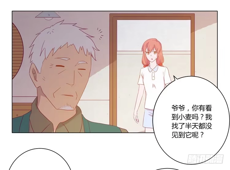 《我与秋田》没有呼吸了 第28页