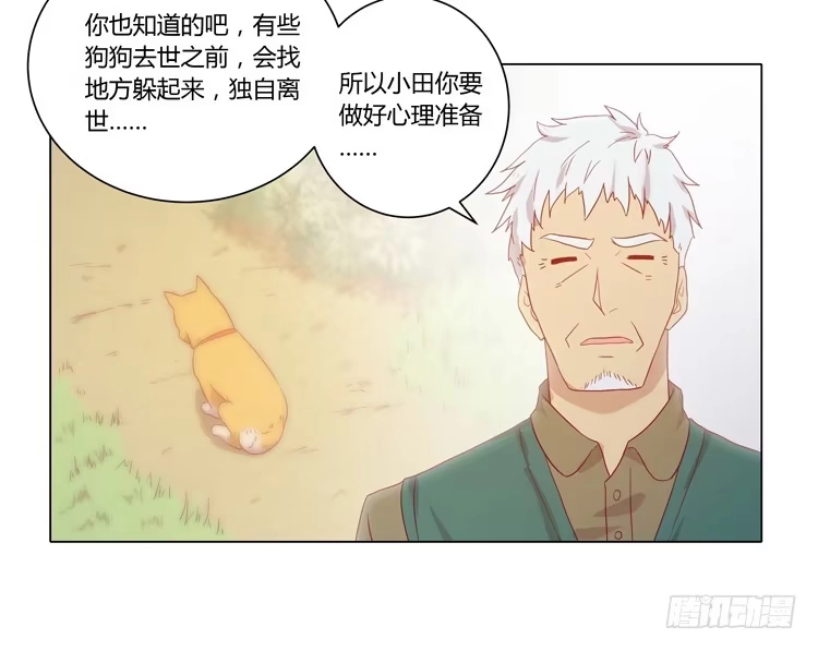 《我与秋田》没有呼吸了 第34页