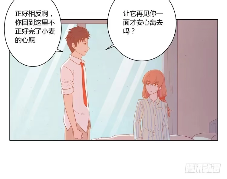 《我与秋田》人工呼吸… 第48页