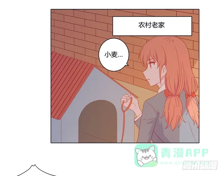 《我与秋田》辰风，厉害了我的学霸！ 第6页