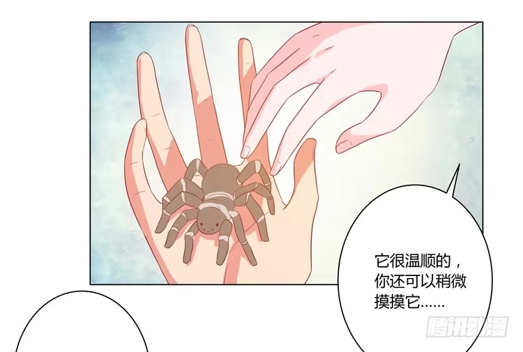 《我与秋田》脱衣服？！你太过分了！ 第42页