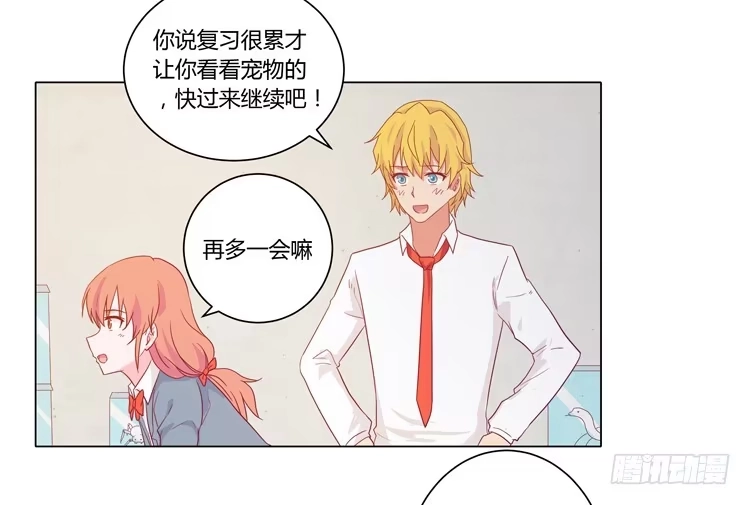 《我与秋田》脱衣服？！你太过分了！ 第39页