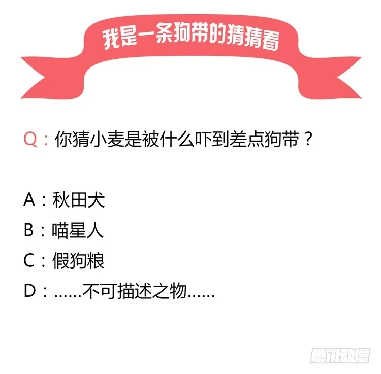 《我与秋田》救命啊！这里好可怕！ 第43页