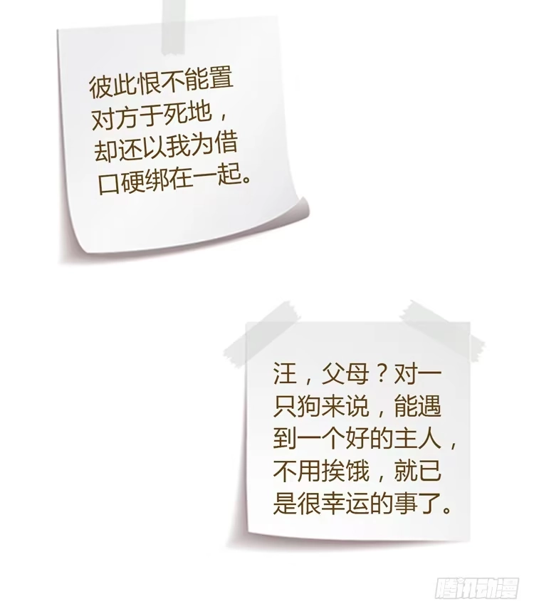 《我与秋田》辰风的过去 第62页