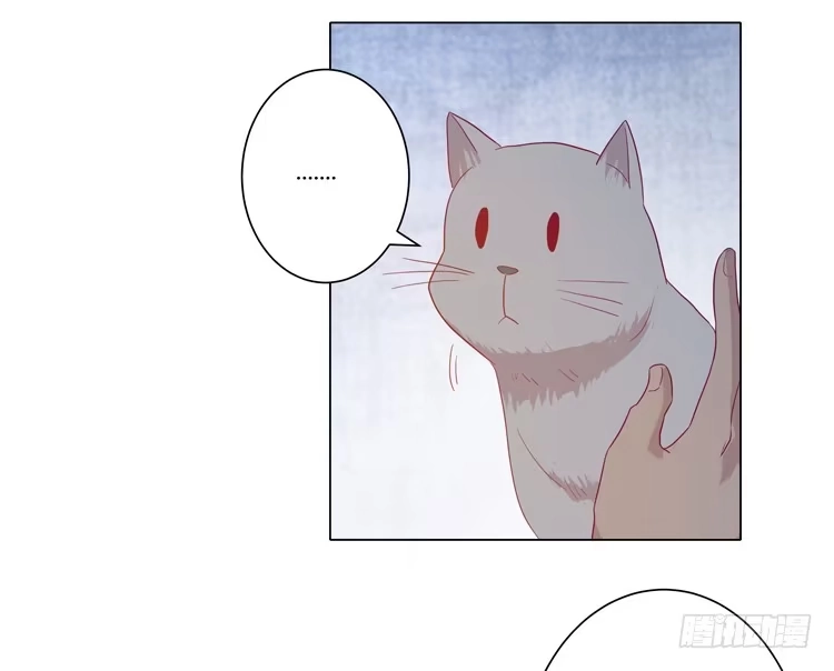 《我与秋田》你是怎样变成人的？！ 第29页