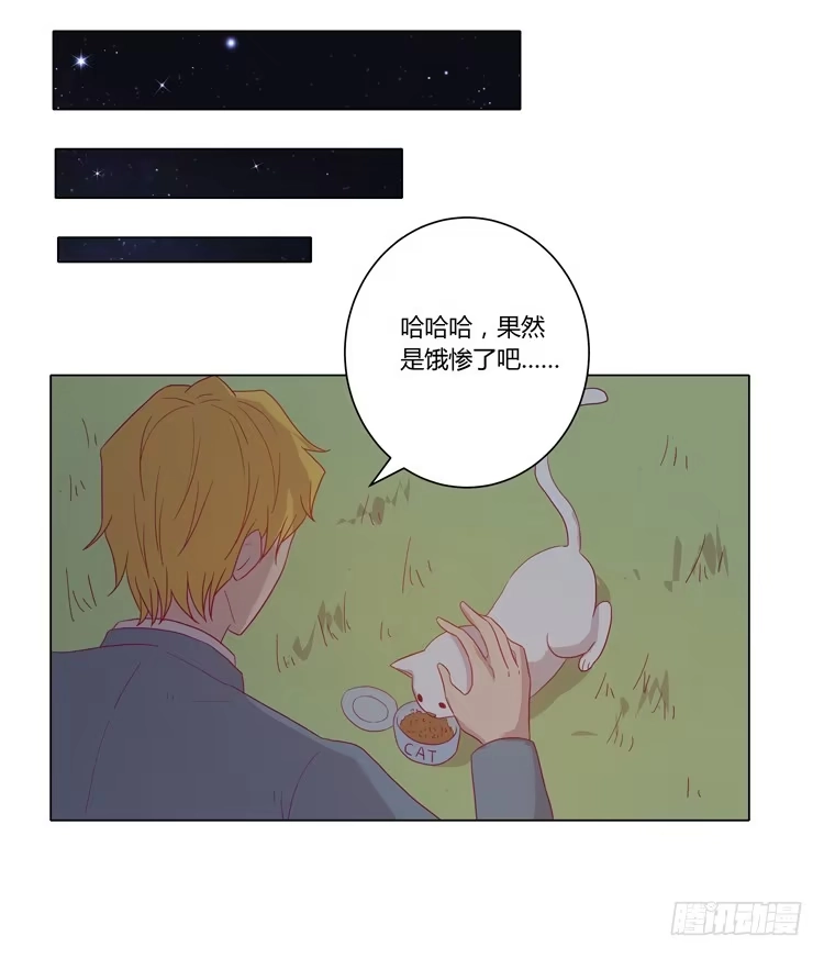 《我与秋田》你是怎样变成人的？！ 第28页
