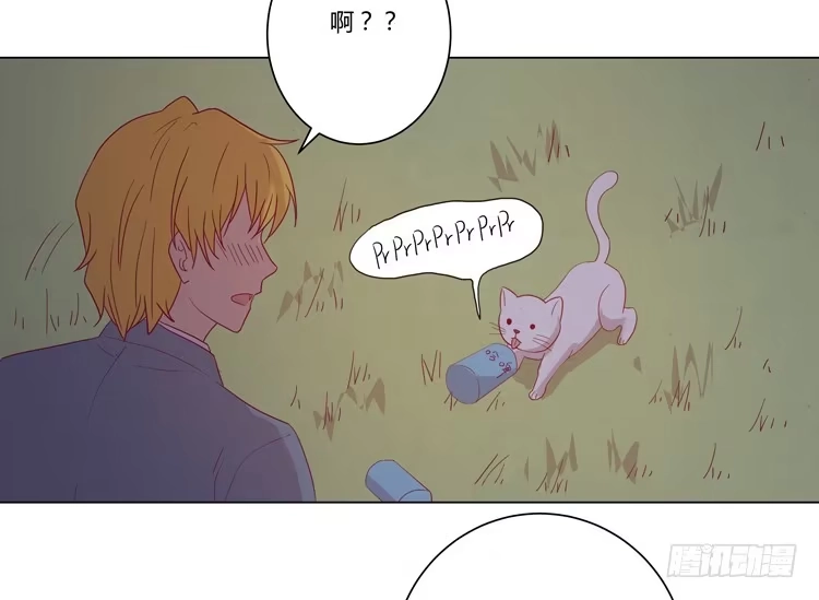 《我与秋田》你是怎样变成人的？！ 第20页