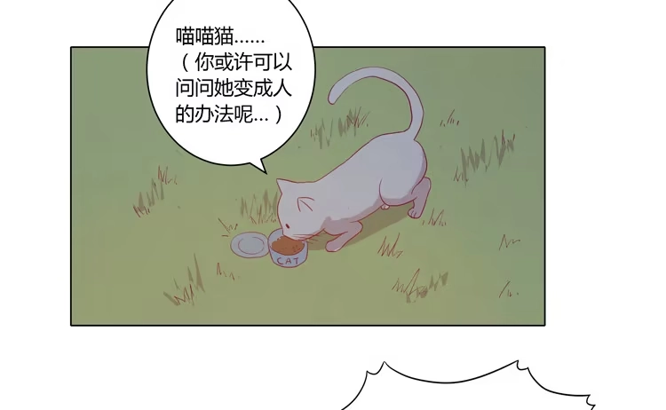 《我与秋田》你是怎样变成人的？！ 第38页