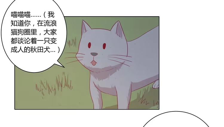 《我与秋田》你是怎样变成人的？！ 第33页